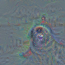 n02111129